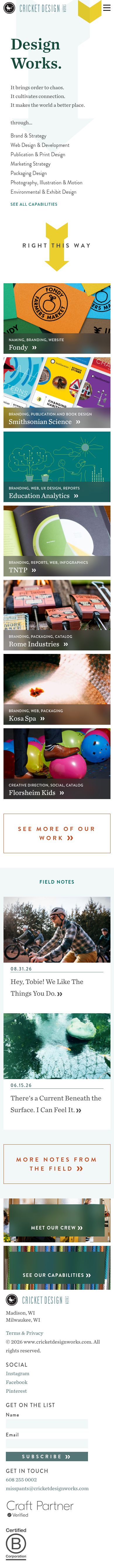Mobile · 390×844 · www.cricketdesignworks.com critique capture preview