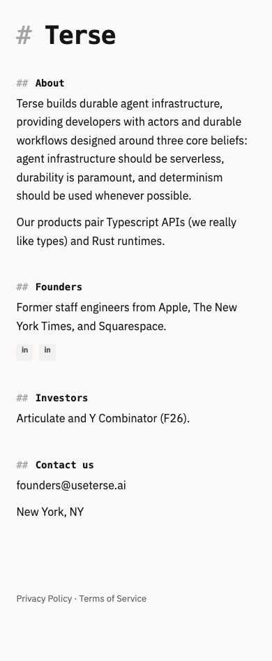 Mobile · 390×844 · www.useterse.ai critique capture preview