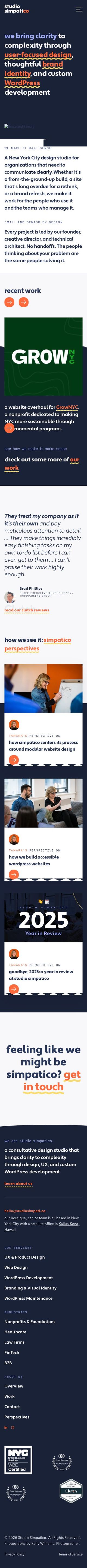 Studio Simpatico | Web Design Studio | New York City review snapshot