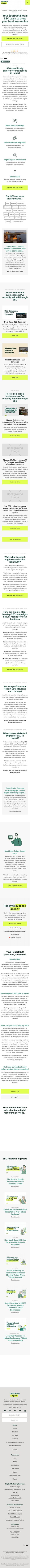 Search Engine Optimisation review snapshot